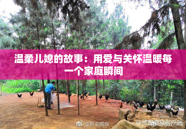 温柔儿媳的故事：用爱与关怀温暖每一个家庭瞬间