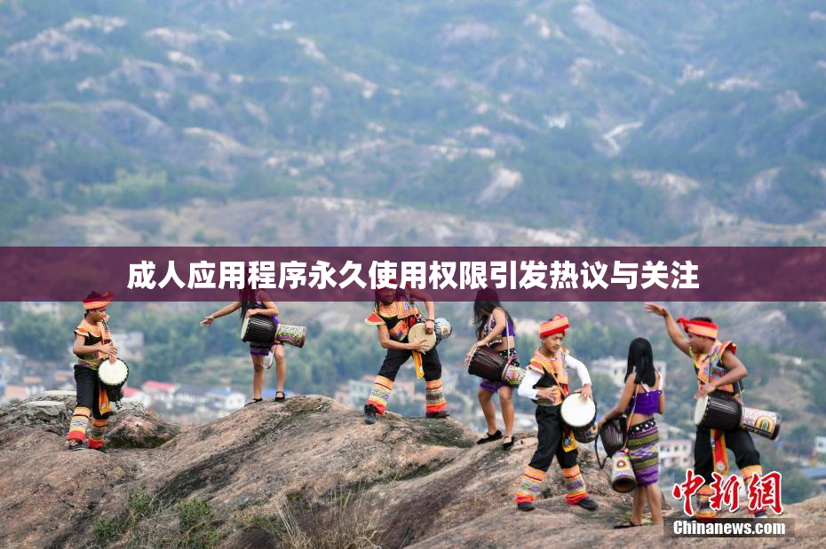 成人应用程序永久使用权限引发热议与关注