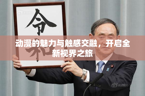 动漫的魅力与触感交融，开启全新视界之旅