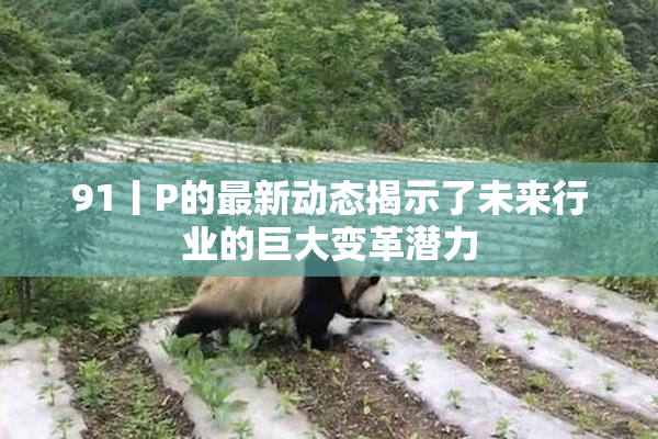 91丨P的最新动态揭示了未来行业的巨大变革潜力