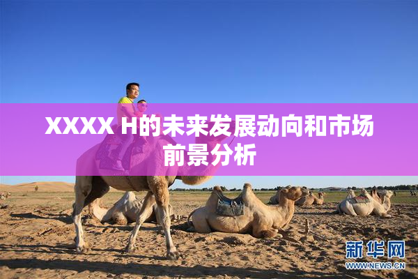 XXXX H的未来发展动向和市场前景分析