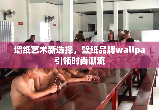 墙纸艺术新选择，壁纸品牌wallpa引领时尚潮流