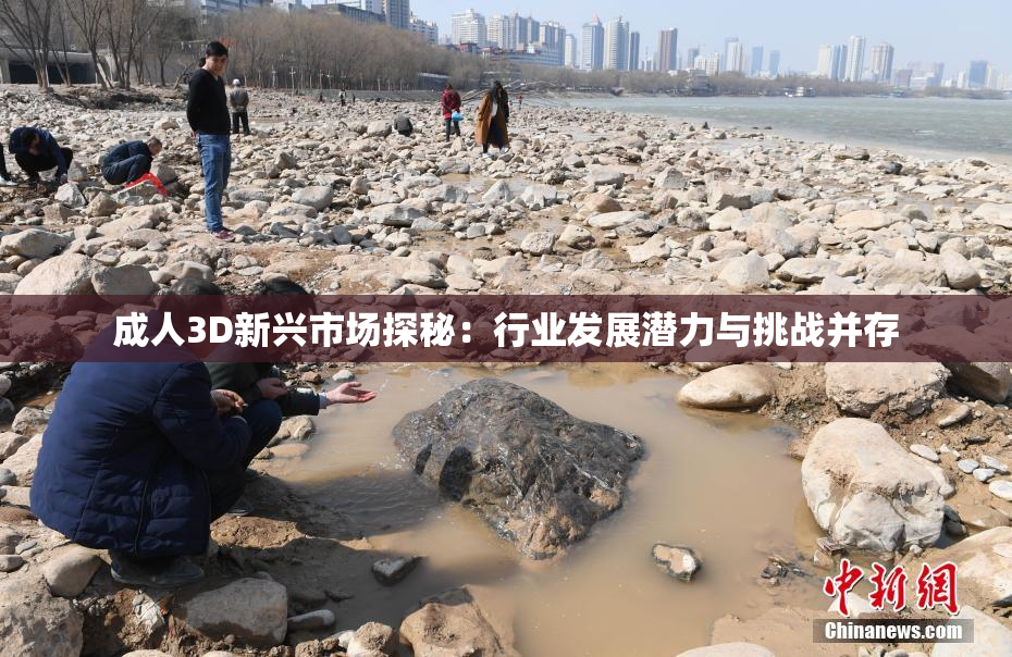 成人3D新兴市场探秘：行业发展潜力与挑战并存
