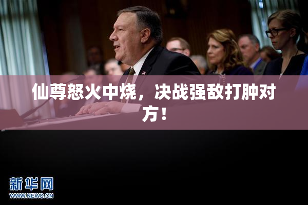 仙尊怒火中烧，决战强敌打肿对方！