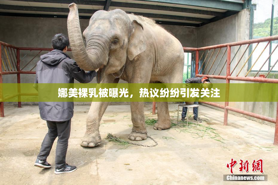 娜美裸乳被曝光，热议纷纷引发关注