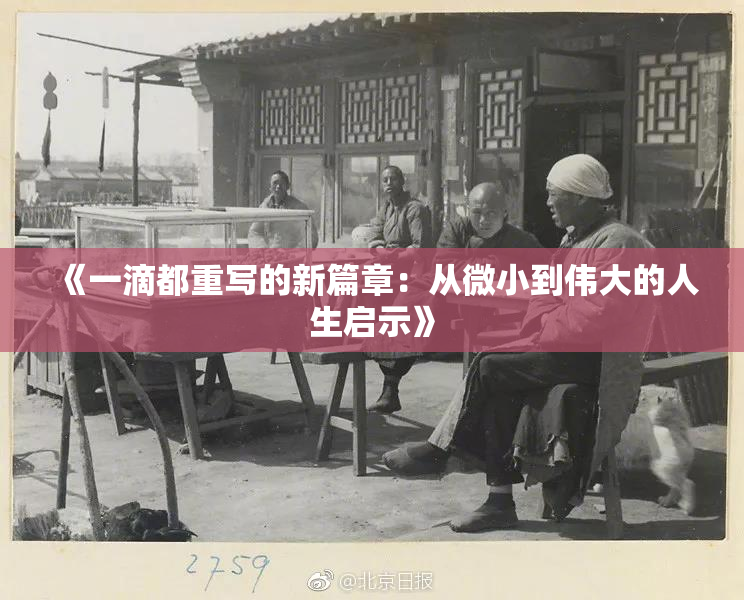 《一滴都重写的新篇章：从微小到伟大的人生启示》