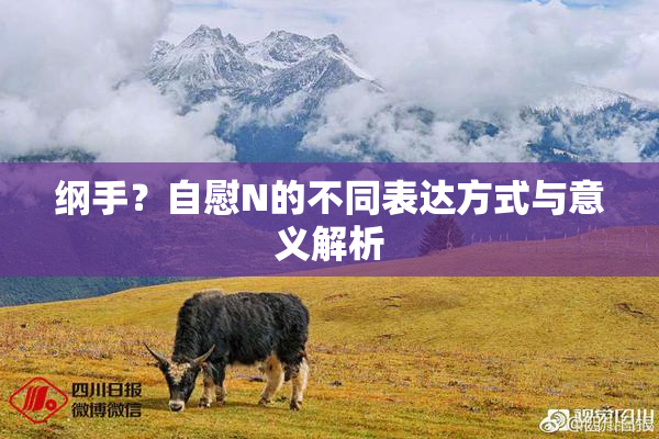 纲手？自慰N的不同表达方式与意义解析