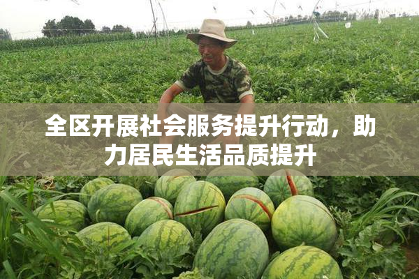 全区开展社会服务提升行动，助力居民生活品质提升