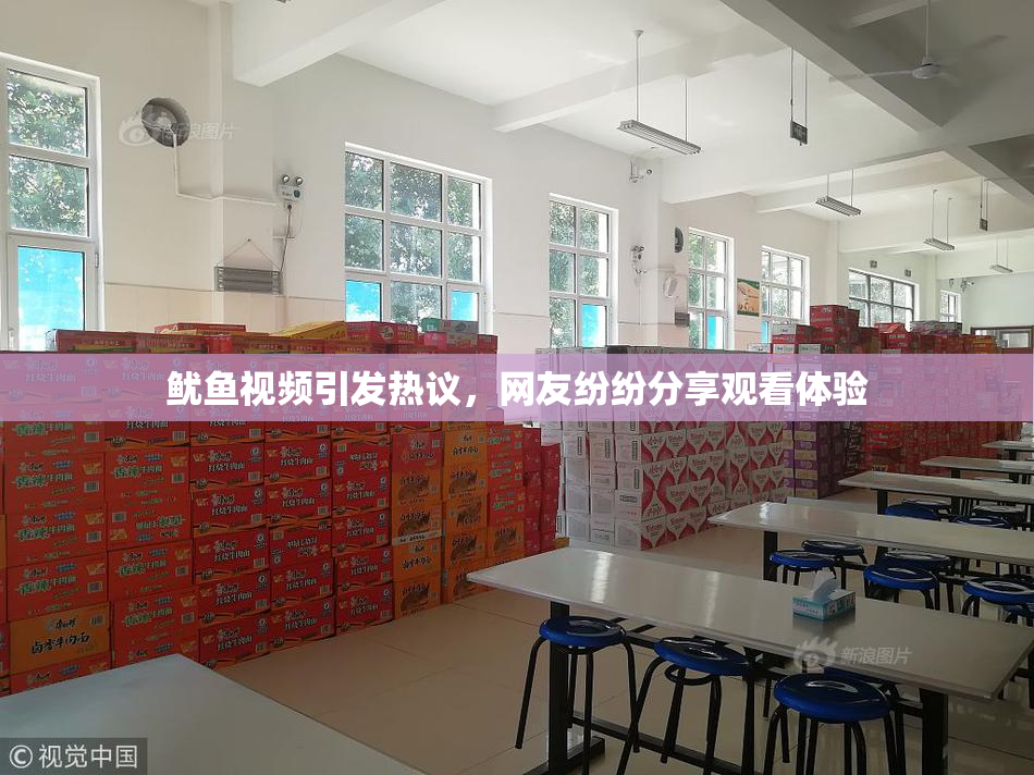鱿鱼视频引发热议，网友纷纷分享观看体验