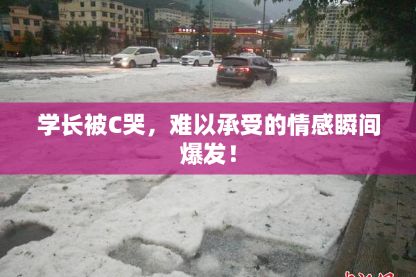 学长被C哭，难以承受的情感瞬间爆发！