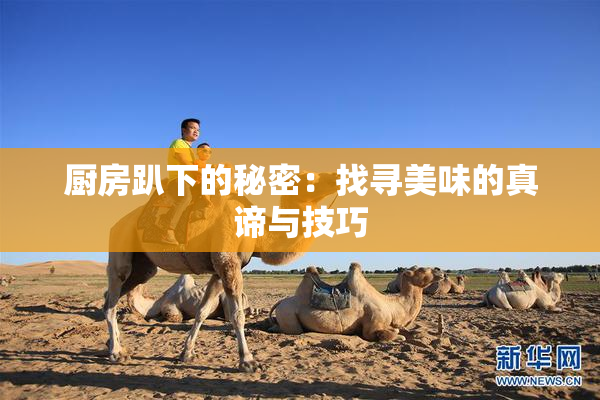 厨房趴下的秘密：找寻美味的真谛与技巧