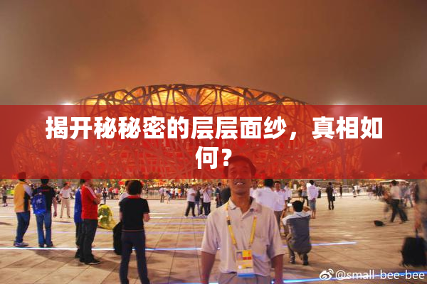 揭开秘秘密的层层面纱，真相如何？