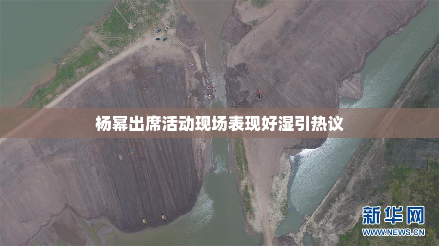 杨幂出席活动现场表现好湿引热议