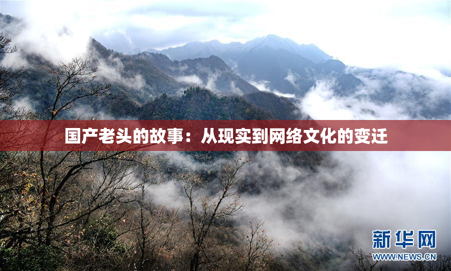 国产老头的故事：从现实到网络文化的变迁