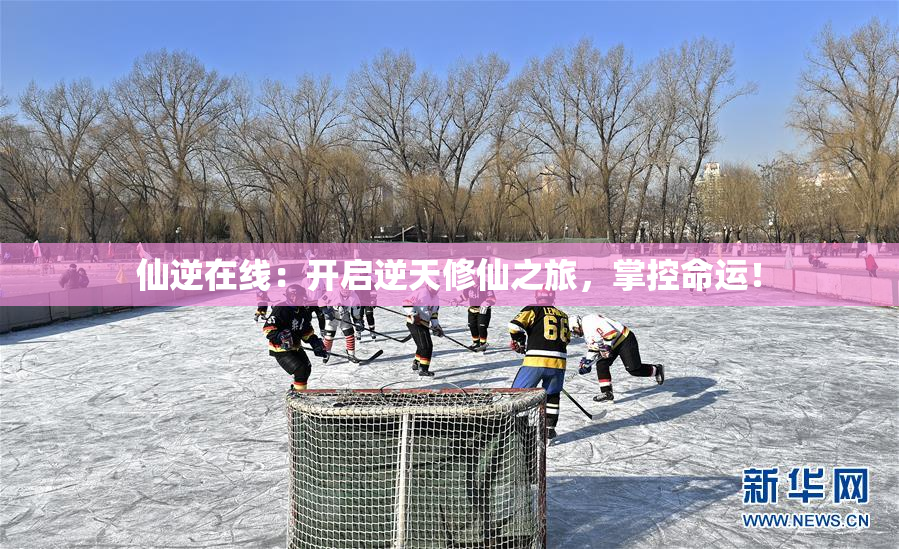 仙逆在线：开启逆天修仙之旅，掌控命运！