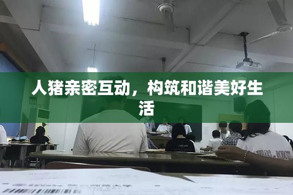人猪亲密互动，构筑和谐美好生活