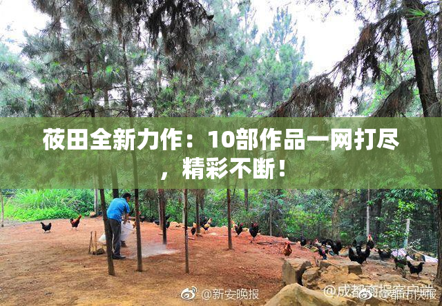 莜田全新力作：10部作品一网打尽，精彩不断！