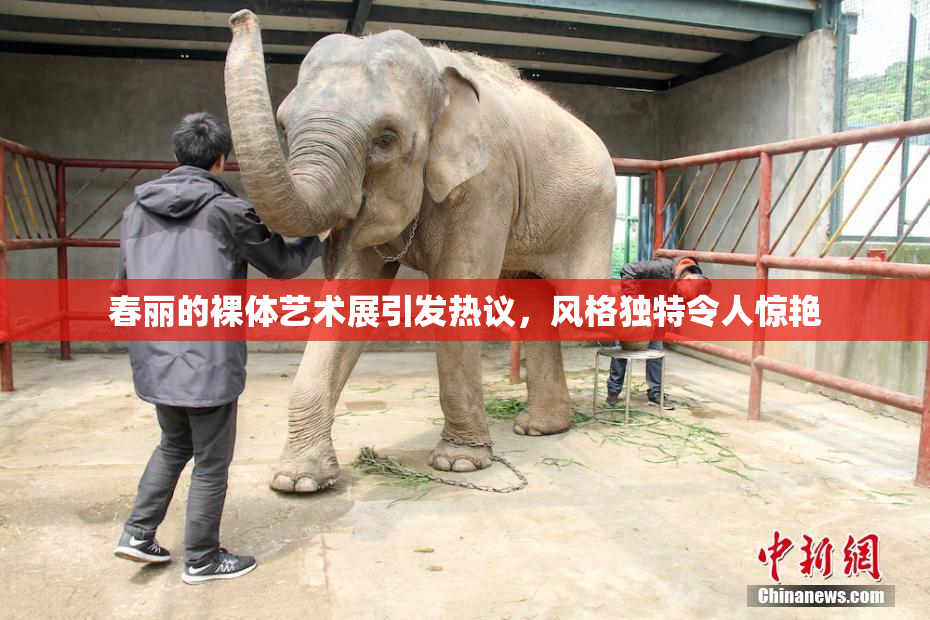 春丽的裸体艺术展引发热议，风格独特令人惊艳