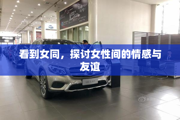 看到女同，探讨女性间的情感与友谊