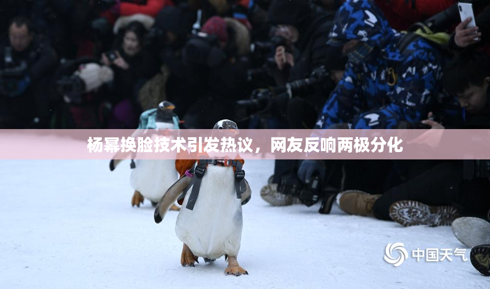 杨幂换脸技术引发热议，网友反响两极分化