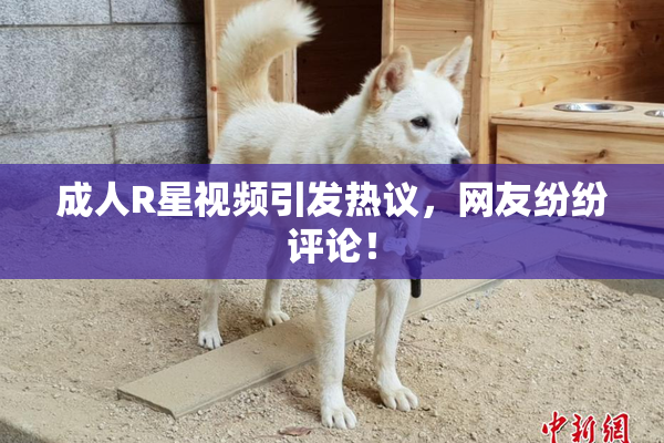 成人R星视频引发热议，网友纷纷评论！