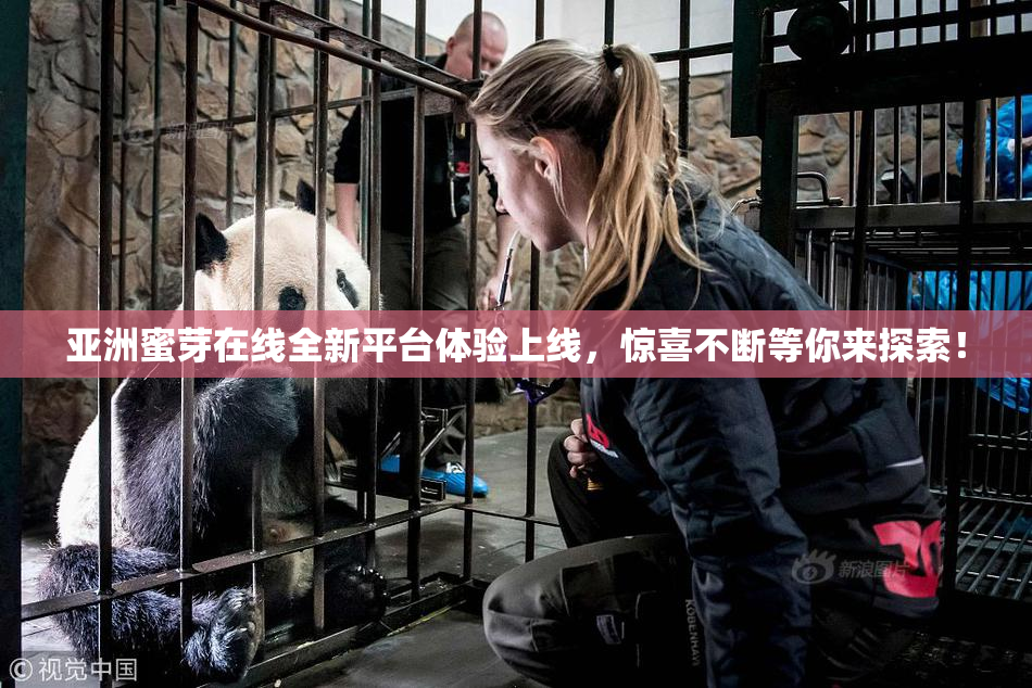 亚洲蜜芽在线全新平台体验上线，惊喜不断等你来探索！