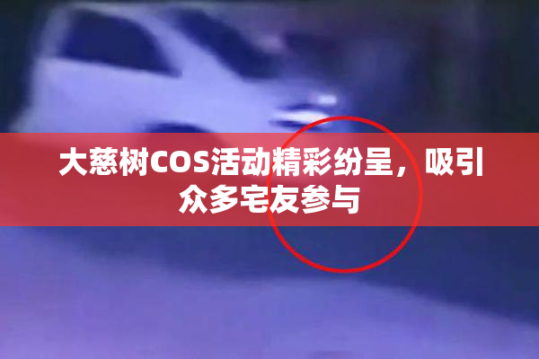 大慈树COS活动精彩纷呈，吸引众多宅友参与