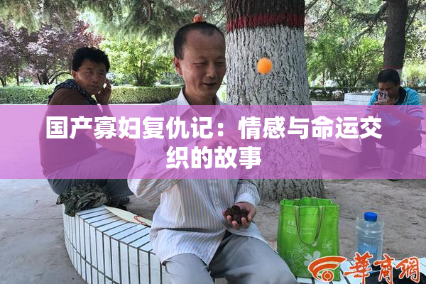 国产寡妇复仇记：情感与命运交织的故事