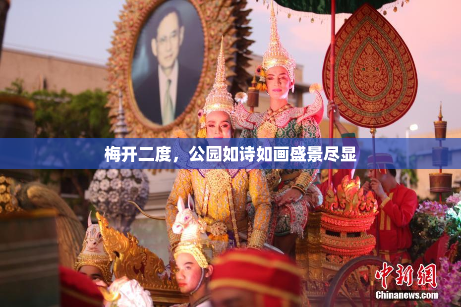 梅开二度，公园如诗如画盛景尽显