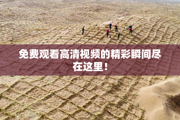 免费观看高清视频的精彩瞬间尽在这里！