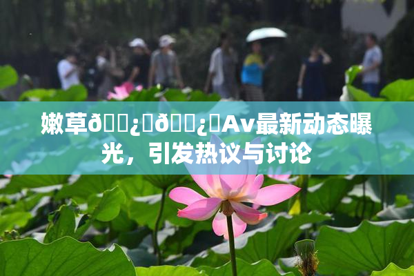 嫩草🌿‌🌿‌Av最新动态曝光，引发热议与讨论