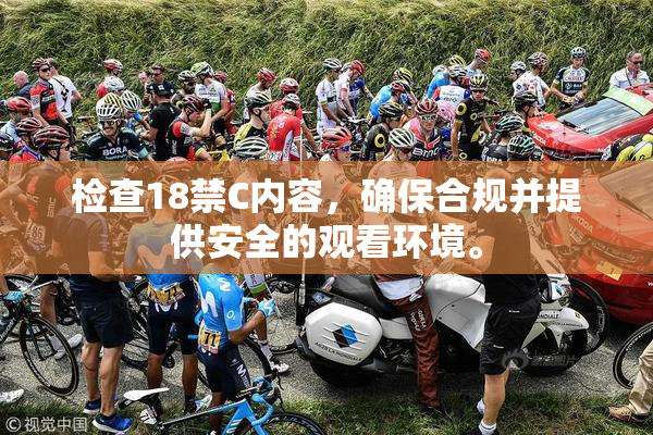 检查18禁C内容，确保合规并提供安全的观看环境。