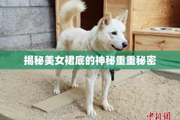 揭秘美女裙底的神秘重重秘密