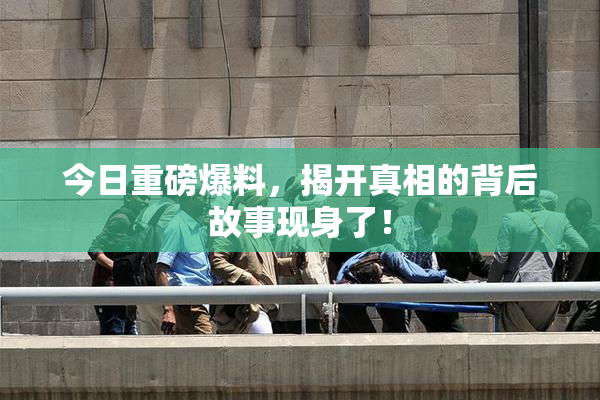 今日重磅爆料，揭开真相的背后故事现身了！
