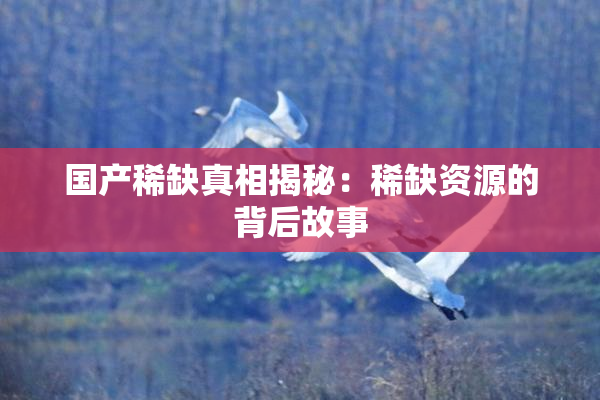国产稀缺真相揭秘：稀缺资源的背后故事