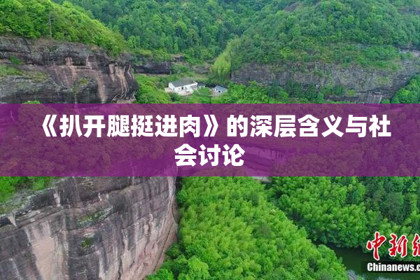 《扒开腿挺进肉》的深层含义与社会讨论