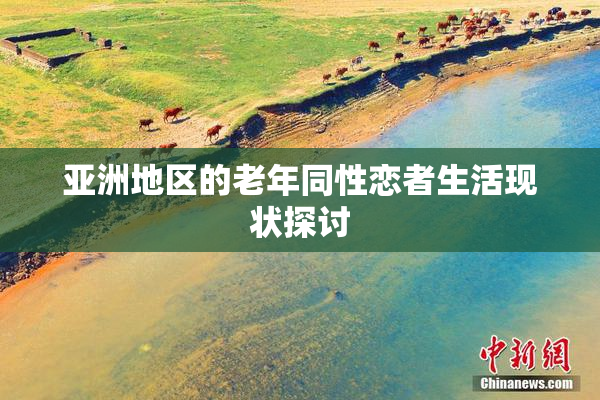 亚洲地区的老年同性恋者生活现状探讨