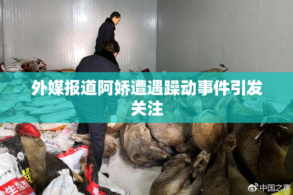 外媒报道阿娇遭遇躁动事件引发关注
