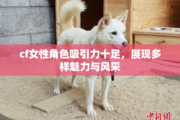 cf女性角色吸引力十足，展现多样魅力与风采