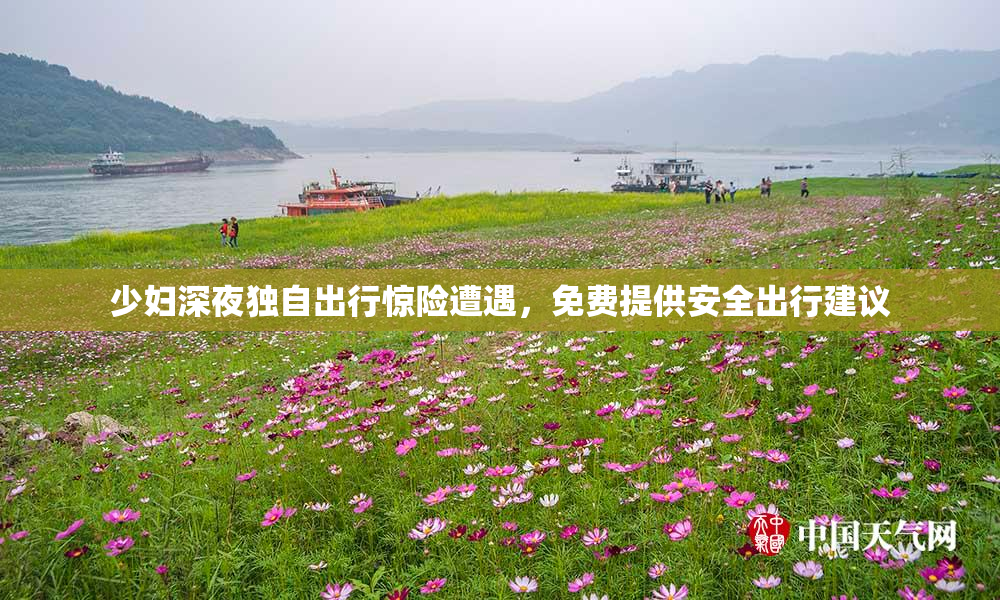 少妇深夜独自出行惊险遭遇，免费提供安全出行建议