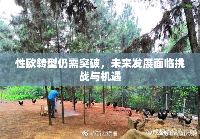 性欧转型仍需突破，未来发展面临挑战与机遇