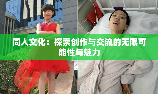 同人文化：探索创作与交流的无限可能性与魅力