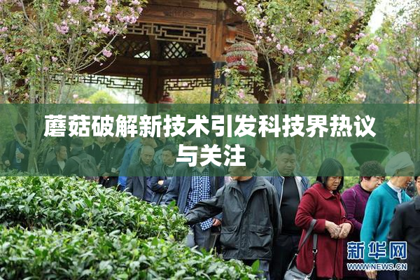 蘑菇破解新技术引发科技界热议与关注