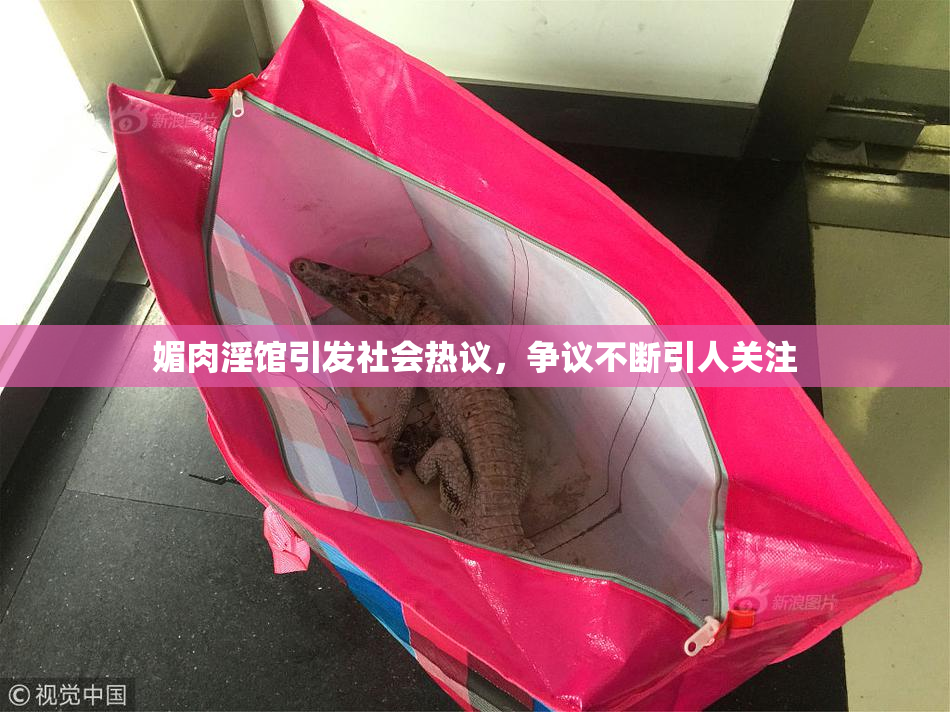 媚肉淫馆引发社会热议，争议不断引人关注