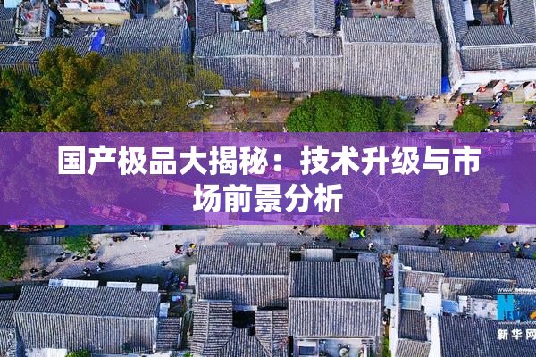 国产极品大揭秘：技术升级与市场前景分析