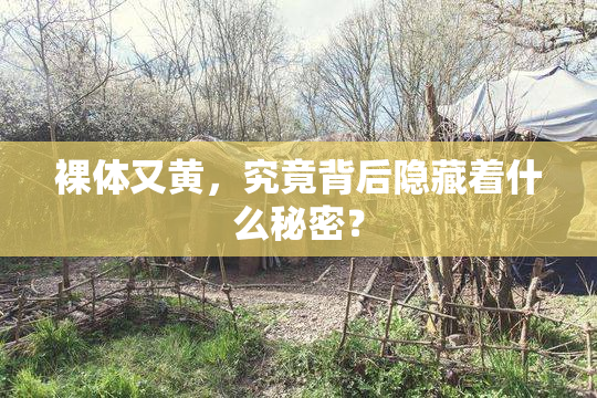 裸体又黄，究竟背后隐藏着什么秘密？