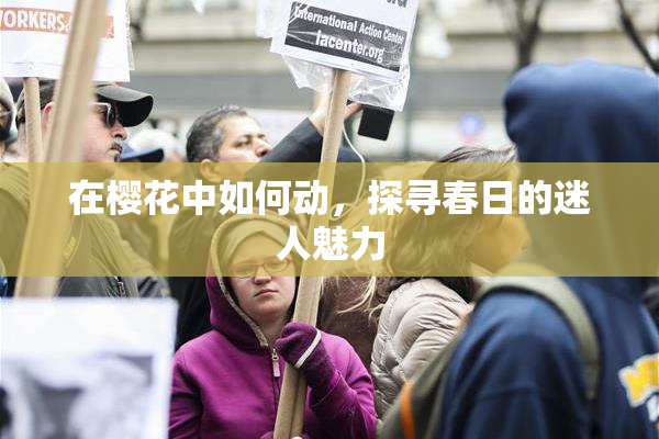 在樱花中如何动，探寻春日的迷人魅力
