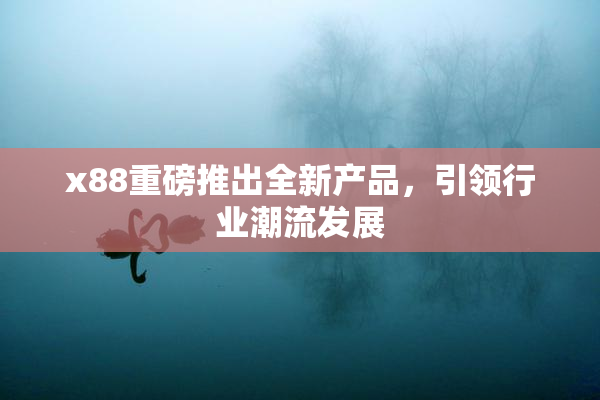 x88重磅推出全新产品，引领行业潮流发展