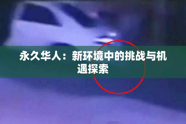 永久华人：新环境中的挑战与机遇探索