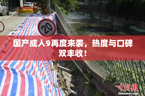 国产成人9再度来袭，热度与口碑双丰收！